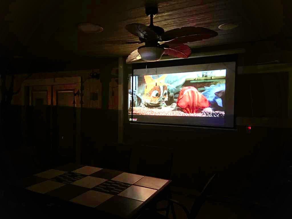 Projector in patio